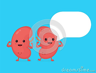 Strong healthy happy kidneys character Vector Illustration