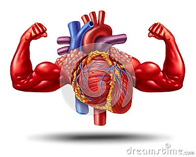 Strong Healthy Heart Cartoon Illustration