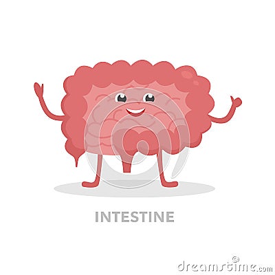 Strong healthy intestine cartoon character isolated on white background. Happy small and large intestines icon vector Vector Illustration