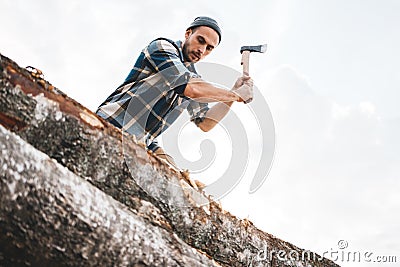 Strong lumberjack in plaid shirt chops tree in wood with sharp ax, close up axe, wood chips fly Stock Photo