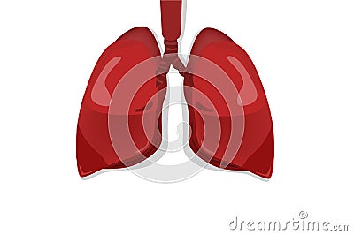 The strong lung Stock Photo