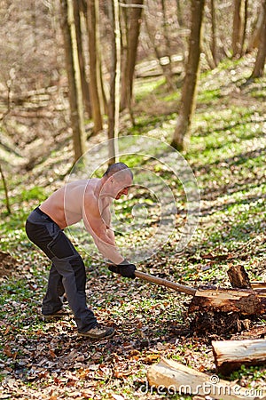 Strong man splitting logs Stock Photo