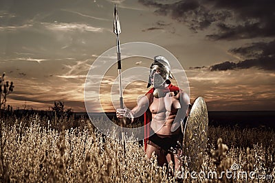 Strong Spartan warrior in battle dress with a shield and a spear Stock Photo