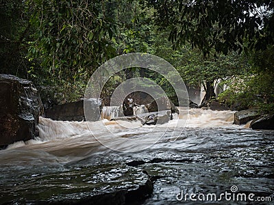 Strong water current flowing in stream. a lot of water from waterfall in rainy season. Stock Photo