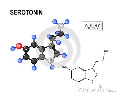 Structural chemical formula and model of molecule of Serotonin. Vector Illustration