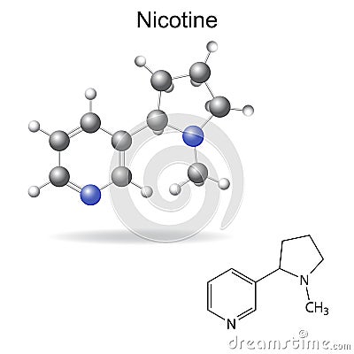 Structural chemical formula and model of nicotine Vector Illustration