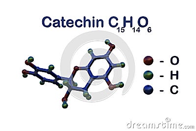 Structural chemical formula and molecular model of catechin, one of the polyphenols present in green tea. Scientific Cartoon Illustration