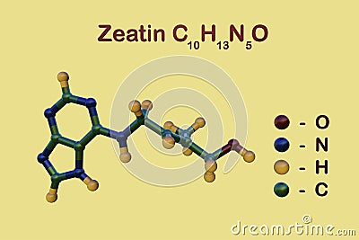 Structural chemical formula and molecular model of zeatin, a coconut milk-derived plant hormone cytokinin, suitable for Cartoon Illustration