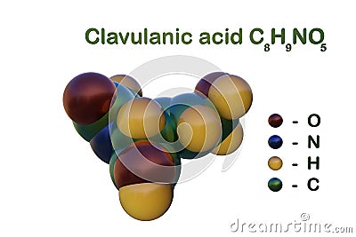 Structural chemical formula and space-filling molecular model of clavulanic acid, an inhibitor of beta-lactamase. 3d Cartoon Illustration