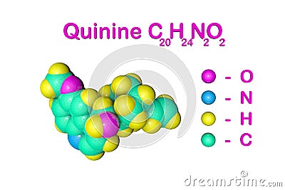 Structural chemical formula and space-filling molecular model of quinine. It is a medication used to treat malaria and Cartoon Illustration