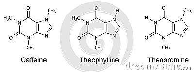 Structural chemical formulas of purine alkaloids (caffeine, theophylline, theobromine) Vector Illustration