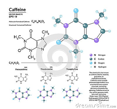 Structural chemical molecular formula and model of caffeine. Atoms are represented as spheres with color coding Vector Illustration