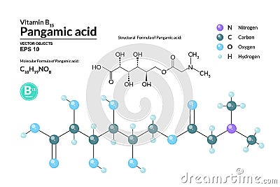 Structural chemical molecular formula and model of Pangamic acid. Atoms are represented as spheres with color coding Vector Illustration