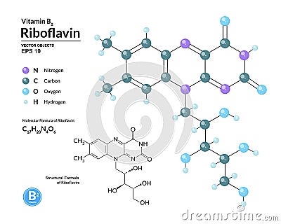 Structural chemical molecular formula and model of riboflavin. Atoms are represented as spheres with color coding Vector Illustration