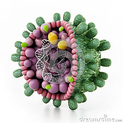 Structural detail of Hepatitis B virus isolated on white. 3D illustration Cartoon Illustration