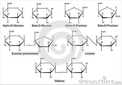 Structural formulas of the main saccharides Vector Illustration