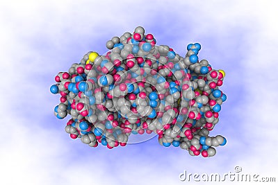 Structural mechanism of hormone release in thyroxine binding globulin. Space-filling molecular model on blue background Cartoon Illustration