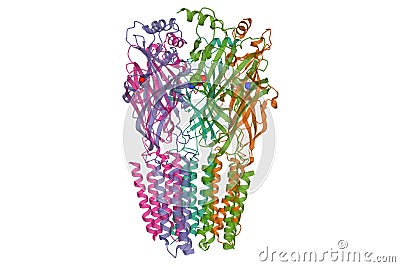 Structure of the alpha1beta1gamma2S tri-heteromeric GABAA receptor in complex with GABA spacefill Stock Photo