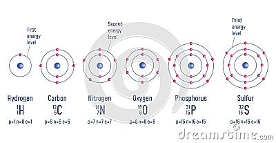 Structure of an Atom Vector Illustration