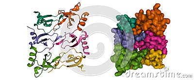 Structure of CC chemokine ligand 5 CCL5 oligomer Stock Photo