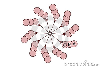 Structure of a centriole (9 x 3) Stock Photo