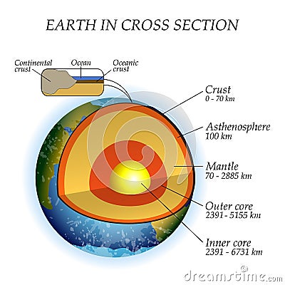 The structure of the earth in a cross section, the layers of the core, mantle, asthenosphere. Template for education, vector. Vector Illustration