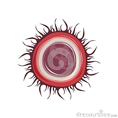 Structure of female egg ovum cell. Icon of human reproductive system. Vector Illustration