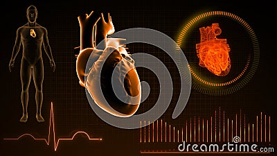 Structure of Human Heart while pumping Stock Photo