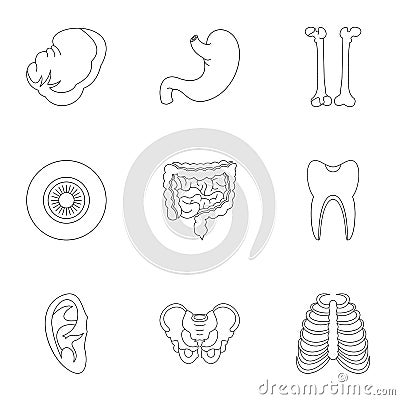 Structure of human icons set, outline style Vector Illustration