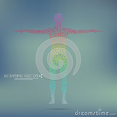 Structure molecule of man. Abstract model human body DNA . Medicine, science and technology. Scientific Vector for your Vector Illustration