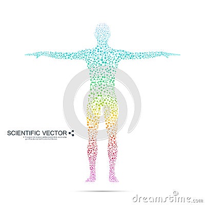 Structure molecule of man. Abstract model human body DNA . Medicine, science and technology. Scientific Vector for your Vector Illustration