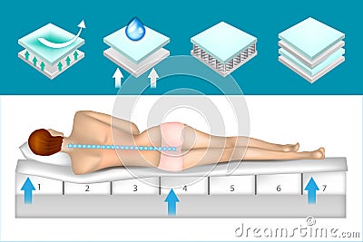 Structure orthopedic mattress Vector Illustration
