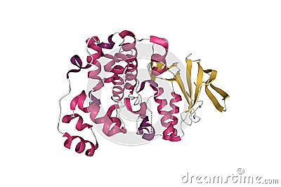 Structure of p38alpha mitogen-activated protein kinase Stock Photo