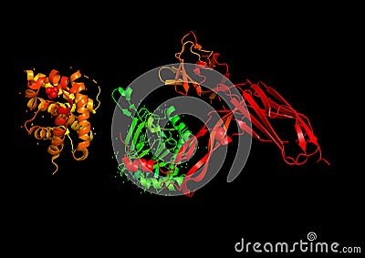 The structure of the protein molecule, an activator of angiogenesis Stock Photo