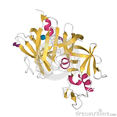 Structure of recombinant human renin Stock Photo