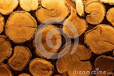 Structure of a tree in a section. Close-up. Side light accentuates the texture. warm yellow light in the sauna Stock Photo