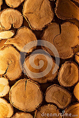 Structure of a tree in a section. Close-up. Side light accentuates the texture. warm yellow light in the sauna Stock Photo