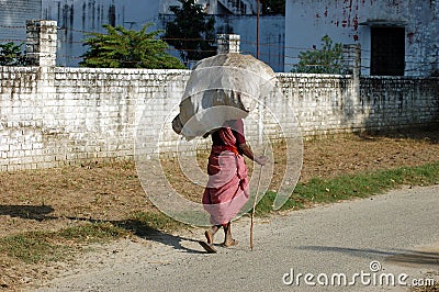 Struggle of life Stock Photo