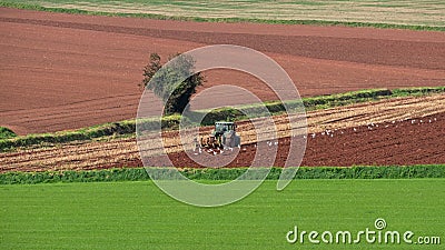 Stubble being turned into the earth on a Devon farm UK Stock Photo