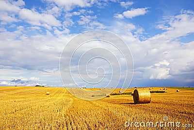 Stubble Field with Hay Bales Stock Photo