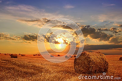 Stubble field and hay bales Stock Photo