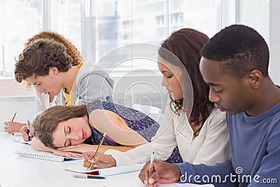 Student dozing during a class Stock Photo