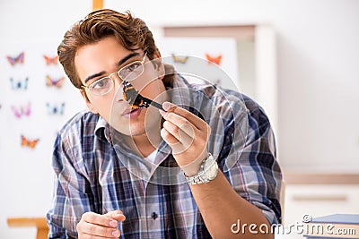 The student entomologist studying new species of butterflies Stock Photo