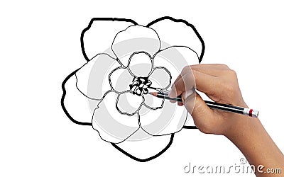 A Students learn to draw flowers, sketch, art education of students, concept of art education and imagination Stock Photo
