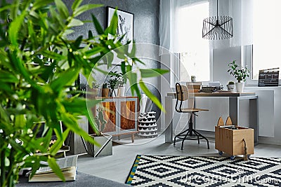 Studio flat with plants Stock Photo