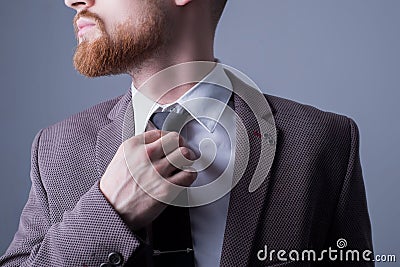 Studio portrait of a young bearded handsome guy of twenty-five years old, in an official suit, tightens his tie. On a dark Stock Photo