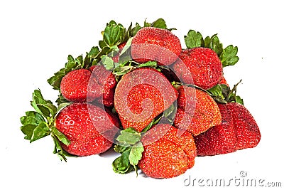 Studio Shot of Pile of Eight Fresh Organic Red Strawberries Stock Photo