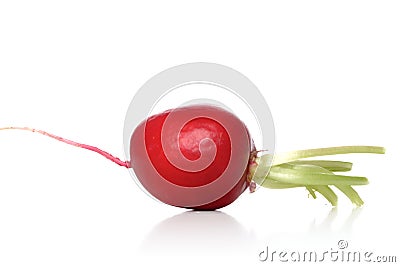 Studio shot of radish on white background Stock Photo