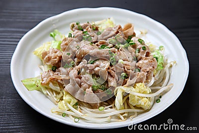 Japanese stirfried meat and vegetables Stock Photo