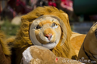 Stuffed Soft Toy Lion Stock Photo